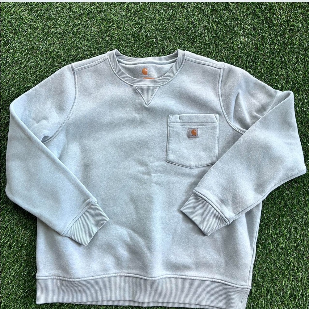 Blue Carhartt WIP sweatshirt